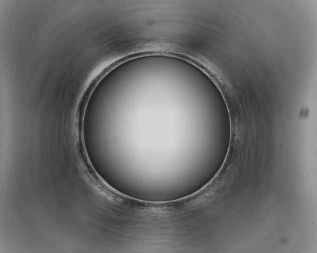 X0000097471078200802221230