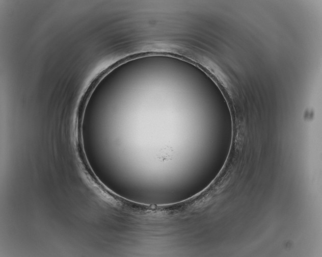 X0000097471080200802221230