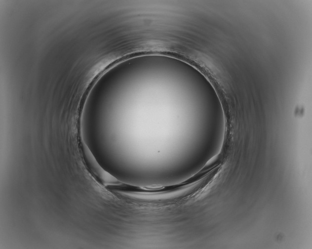X0000097471081200802221230