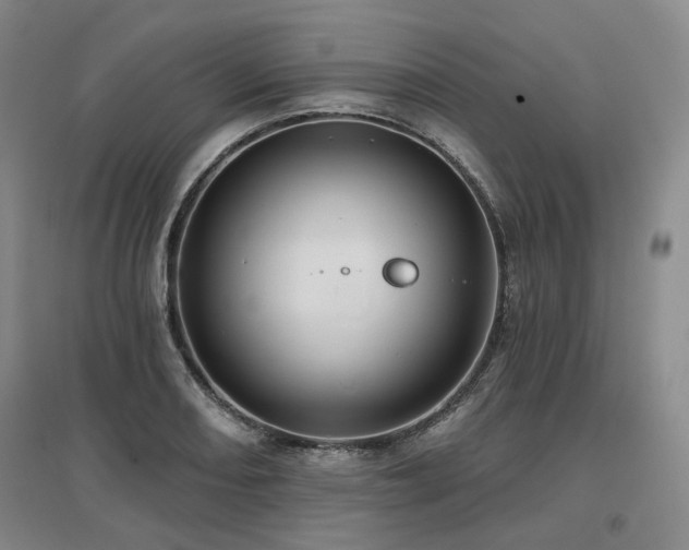 X0000097471082200802221230
