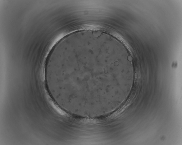 X0000097471083200802221230
