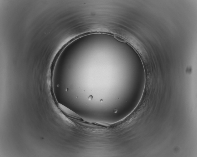 X0000097471084200802221230