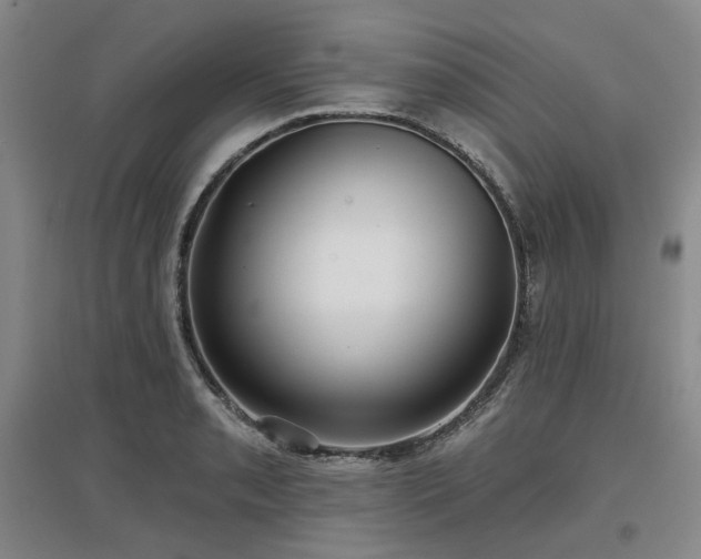 X0000097471085200802221230