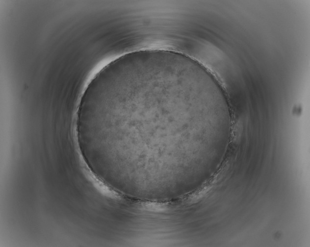X0000097471086200802221230