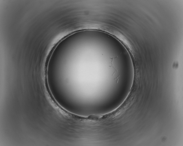 X0000097471088200802221230