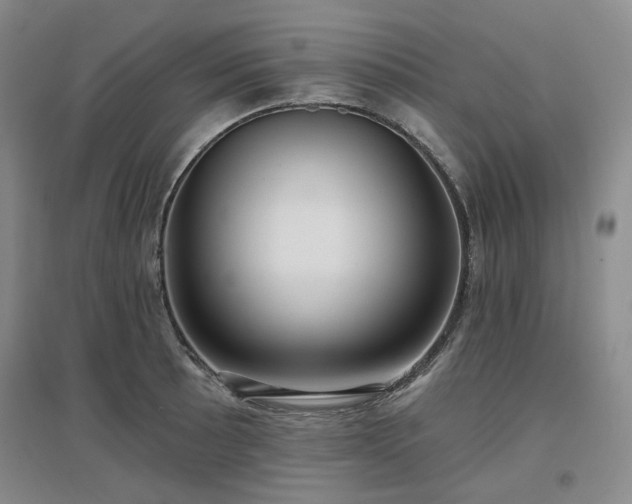 X0000097471089200802221230