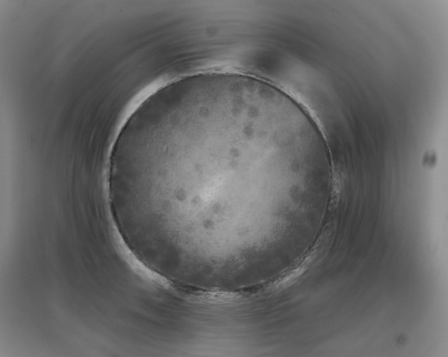 X0000097471090200802221230