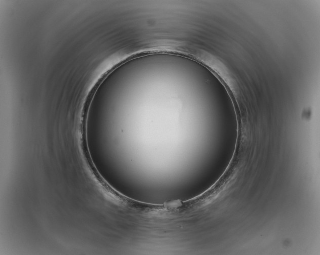 X0000097471093200802221230