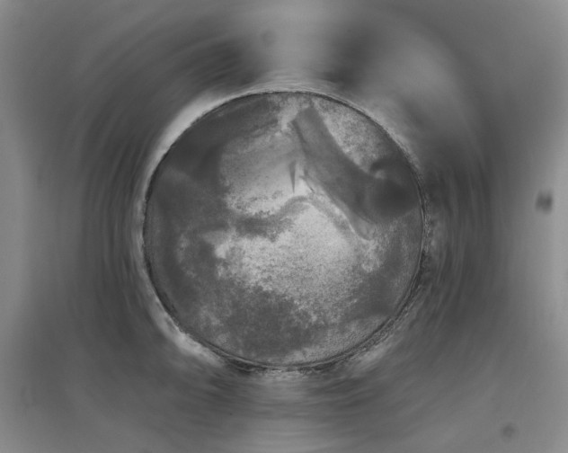 X0000097471094200802221230
