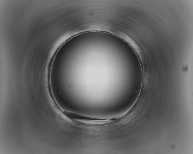 X0000097471096200802221230