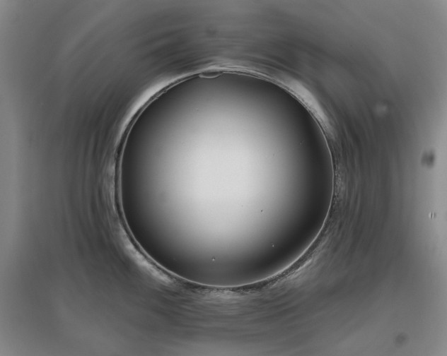 X0000097471100200802221230