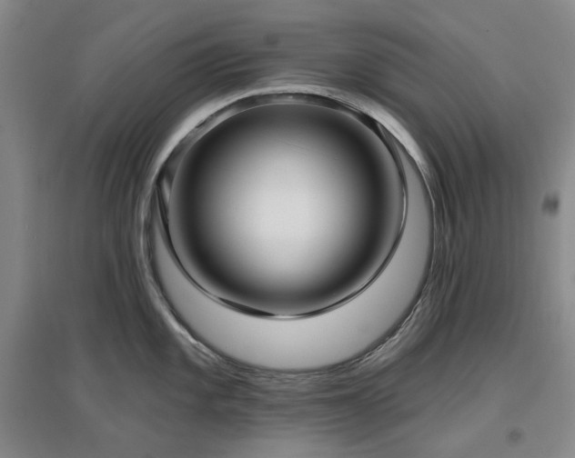 X0000097471101200802221230