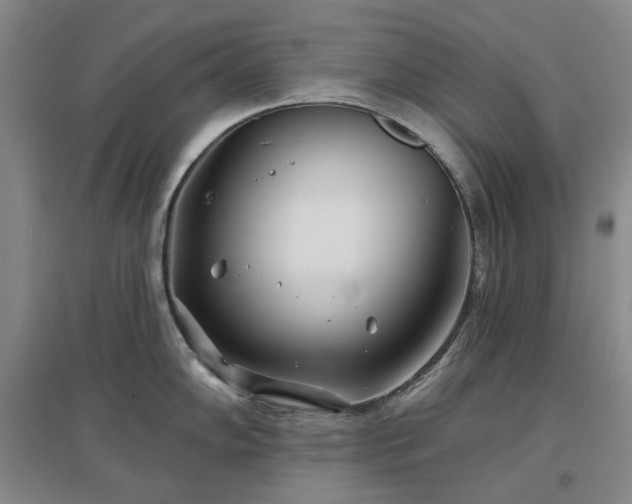 X0000097471102200802221230