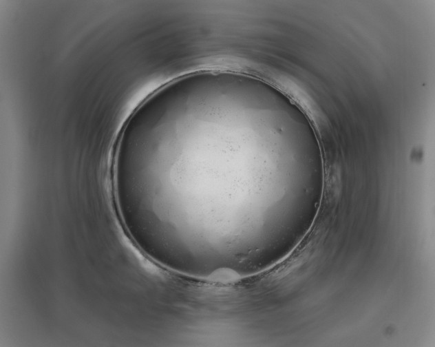 X0000097471103200802221230
