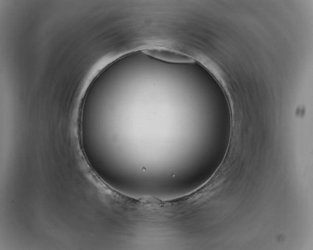 X0000097471104200802221230