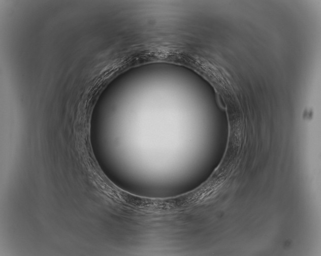 X0000097471105200802221229