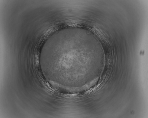 X0000097471106200802221229