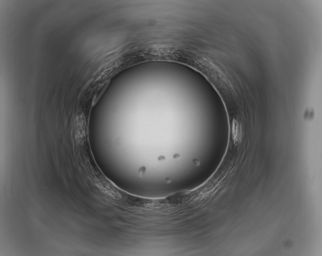 X0000097471107200802221229