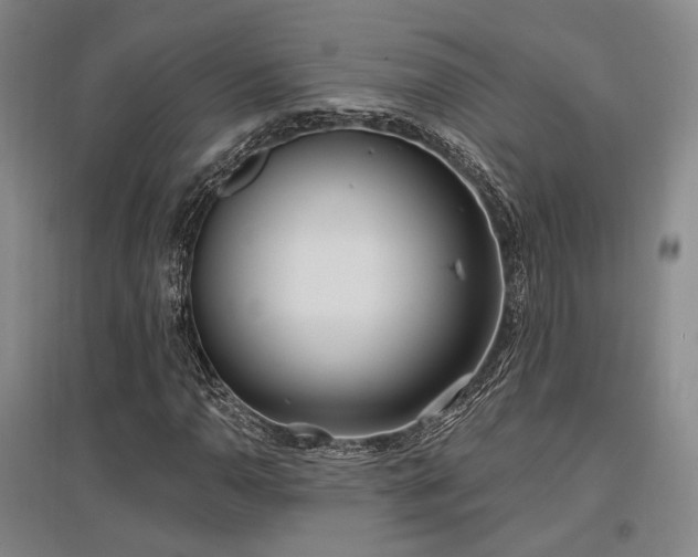 X0000097471110200802221229