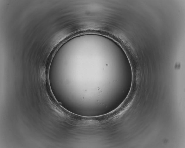 X0000097471113200802221229