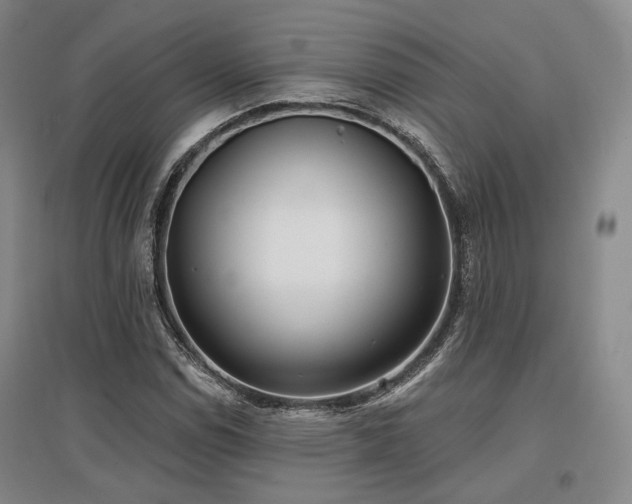 X0000097471114200802221229