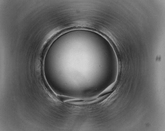 X0000097471115200802221229