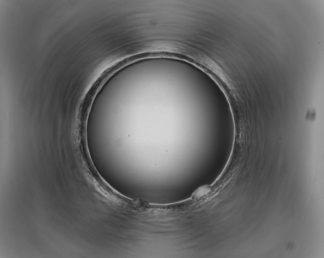 X0000097471116200802221229