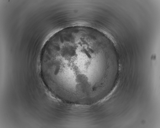 X0000097471117200802221229
