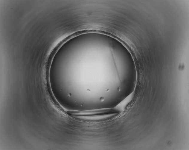 X0000097471120200802221229