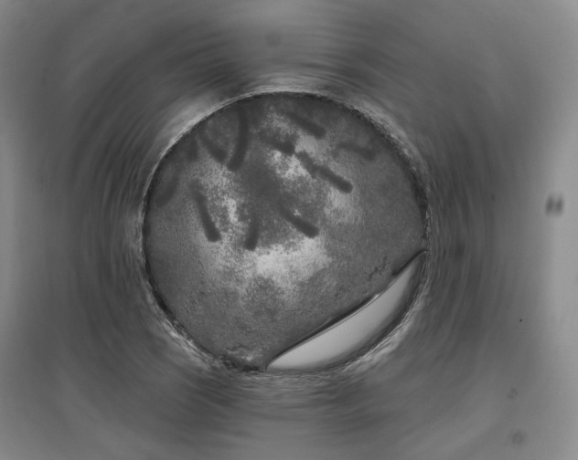 X0000097471121200802221229