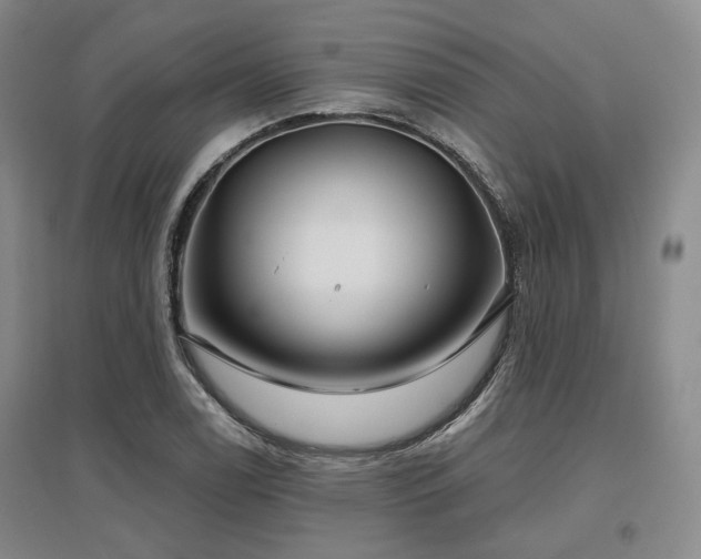 X0000097471122200802221229
