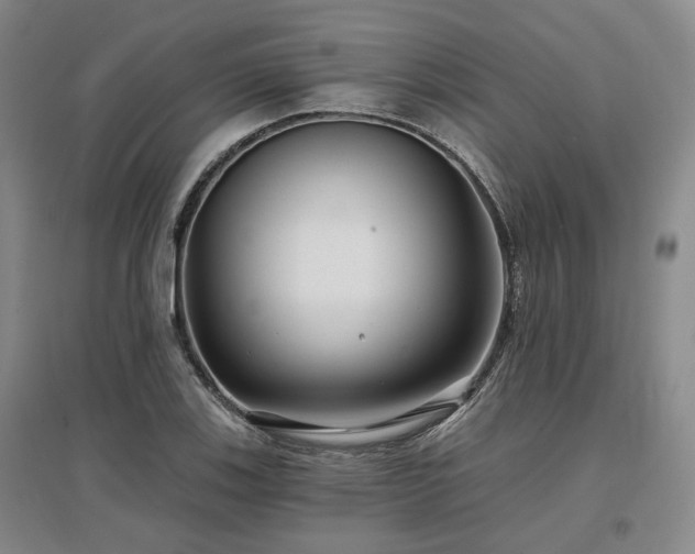 X0000097471123200802221230