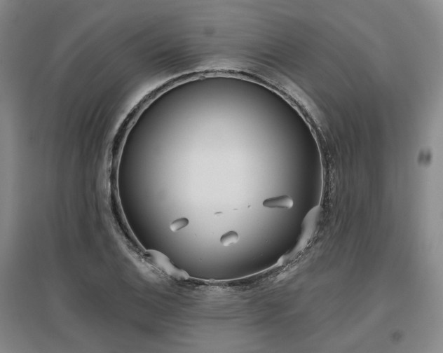 X0000097471124200802221230