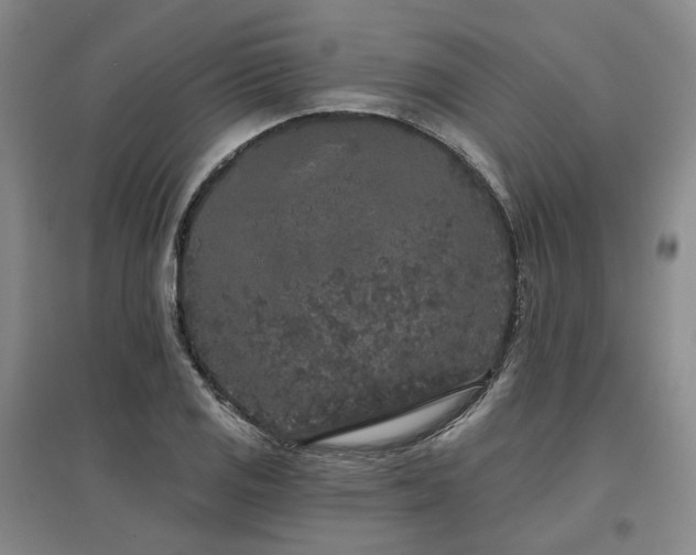 X0000097471125200802221230