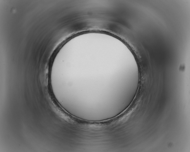 X0000097471126200802221230