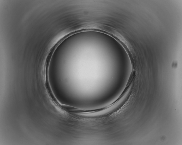 X0000097471127200802221230
