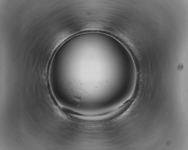 X0000097471129200802221230