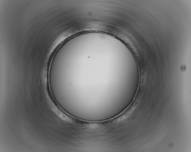 X0000097471130200802221230