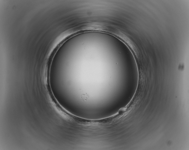 X0000097471131200802221230