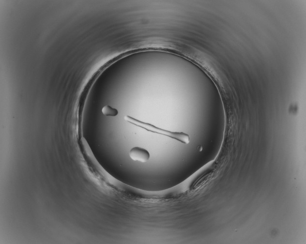 X0000097471132200802221230