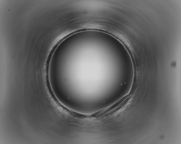 X0000097471133200802221230