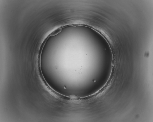 X0000097471134200802221230