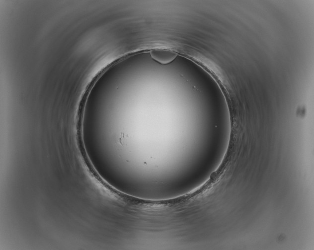 X0000097471135200802221230