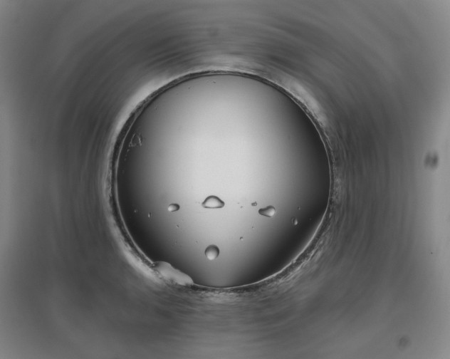 X0000097471136200802221230