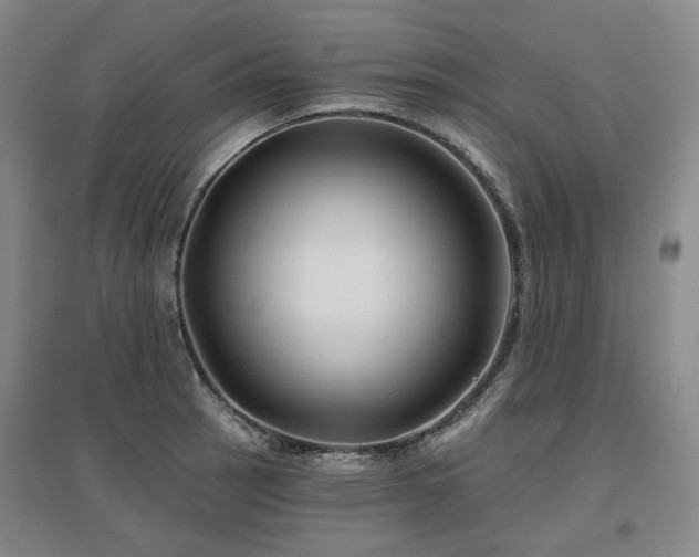 X0000097471137200802221230