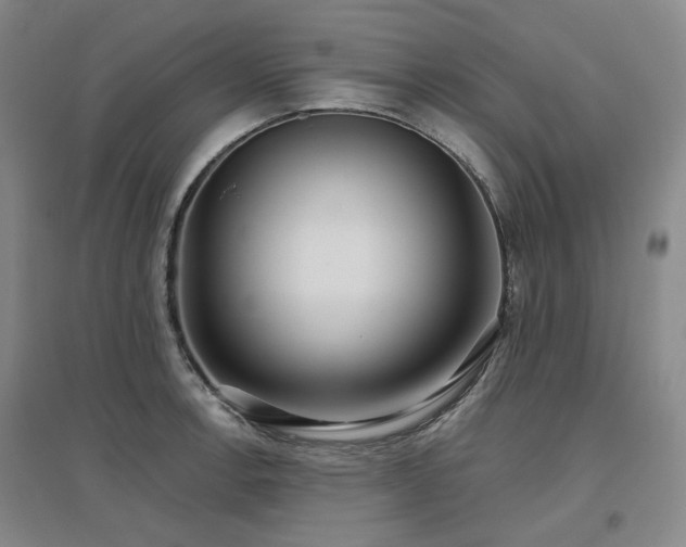 X0000097471138200802221230