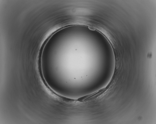 X0000097471139200802221230