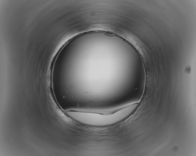 X0000097471140200802221230