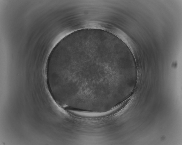 X0000097471141200802221230