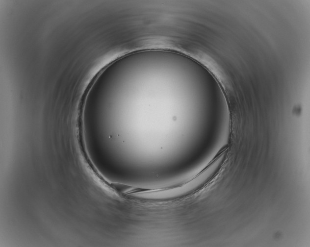 X0000097471142200802221230